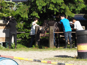 乗馬の後、馬と触れ合いも体験