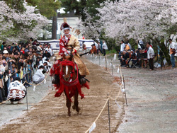 馬場にて馬慣らし、的との間合い