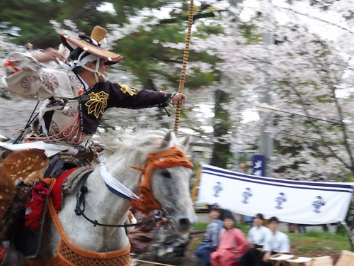 宗家　源　長統　（二の的）