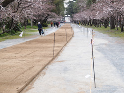 2016年3月　柳川市　三柱神社　参道馬場　馬場末より