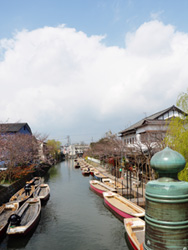 2016年3月　柳川市　桜