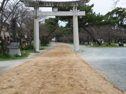 三柱神社　参道馬場　馬場末より