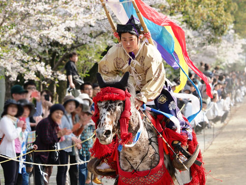 2018年4月　福岡・柳川市　三柱神社　流鏑馬奉納終了後の初陣　　射手見習い　千葉　貴文