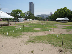 明石城　西芝生広場　馬場元より