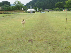 一乗谷　唐門前広場　馬場元より