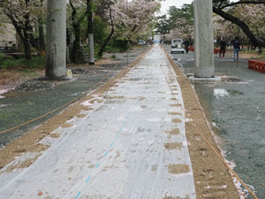 2021年3月　柳川市　三柱神社　参道馬場　馬場末より