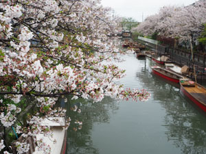 2021年3月　柳川市　