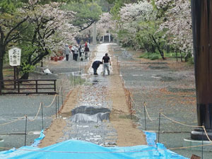 2021年3月　柳川市　三柱神社　参道馬場　馬場元より