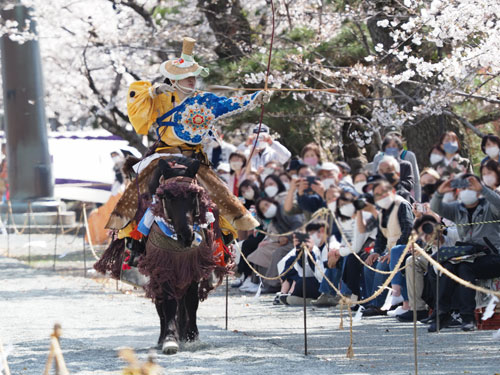 2022年3月　福岡・柳川市　三柱神社　流鏑馬奉納