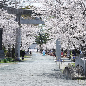 2022年3月　柳川市　