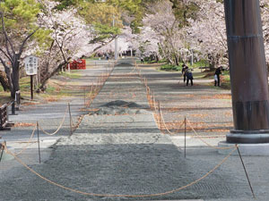 2022年3月　柳川市　三柱神社　参道馬場　馬場元より