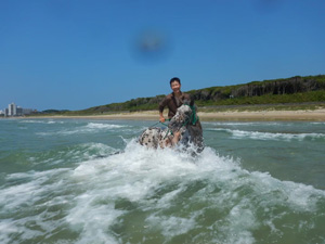 海で外乗