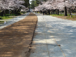 2015年3月　柳川市　三柱神社　参道馬場　馬場末より