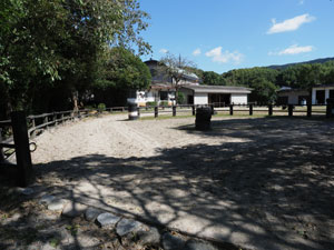 馬術の稽古　場内馬場