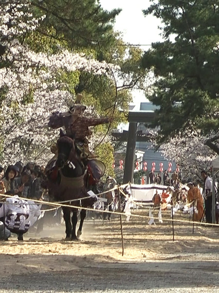 2010年　柳川　流鏑馬　射手　樋口　陽子